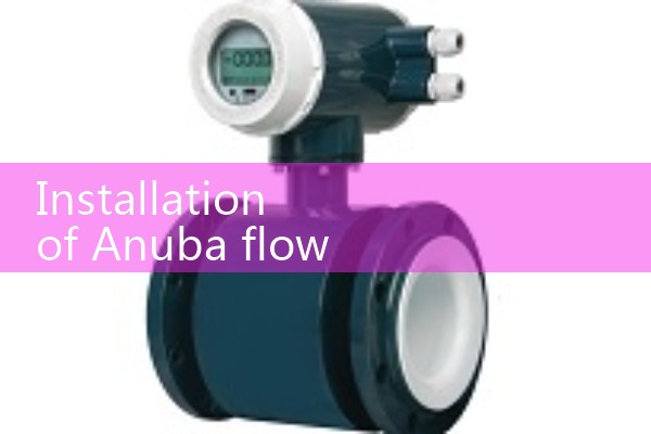 Installation of Anuba flowmeter